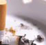 Фото с сайта rospotrebnadzor.ru - НИА Хакасия