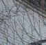 Мигрант, оправдывавший теракт в "Крокусе", отбывает наказание в Хакасии - Республиканская телевизионная сеть