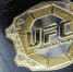 Песня «Матушка Земля» прогремела на международном турнире UFC. Видео - ИА Хакасия