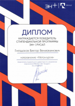 Диплом Гнездюкова В. В.jpg