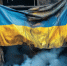 Украинцы вышли на майдан: Киев больше не может скрывать сумки с деньгами и золотой унитаз Зеленского - ИА Хакасия