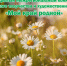 Источник изображения: пресс-служба Минкультуры РХ - НИА Хакасия