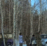 Фото: скриншот видео Минприроды РХ - НИА Хакасия