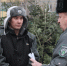 Специалисты Россельхознадзора посетили ёлочные базары Абакана с проверкой - Газета Хакасия