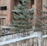 Фото предоставлено пресс-службой УФССП по РХ - Пульс Хакасии