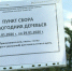 В Хакасии новогодних красавиц перемелят в щепу - Республиканская телевизионная сеть