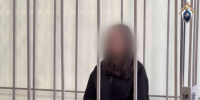 На 2 месяца под стражу отправлена девушка из Сургута, сопровождавшая «похищенного» сына красноярского бизнесмена - Абакан 24