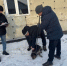 В республике проводится инвентаризация домашних собак - ИА Хакасия