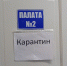 В Хакасии выявляют штамм коронавируса Стратус - ИА Хакасия