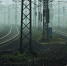 Изображение из фотобанка - Пульс Хакасии