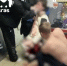 Суд ждёт минусинца, подрезавшего подростка - Абакан 24