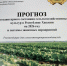 Филиал ФГБУ «Россельхозцентр» опубликовал прогноз фитосанитарного состояния с\х культур в Хакасии на 2026 год - Министерство сельского хозяйства