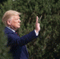 Рейтинг Трампа рекордно упал - ИА Хакасия