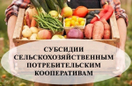 Источник изображения: пресс-служба Минсельхозпрода РХ