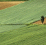 Изображение из фотобанка - Пульс Хакасии