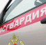 Росгвардейцы задержали в Абакане находившегося в федеральном розыске гражданина - Росгвардия