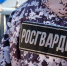 Росгвардейцы пресекли ряд магазинных краж в Абакане - Росгвардия
