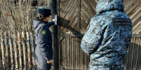В Черногорске приставы пробежали кросс с барьерами, чтоб догнать злостную алиментщицу - Агентство Информационных Сообщений