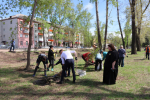 Парк Победы наполняется деревьями