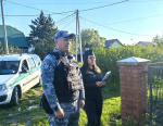20 часов в труде на благо общества проведет алиментщица из Абакана