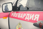 Росгвардейцы задержали в Черногорске подозреваемую в краже продуктов