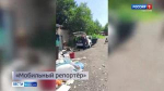 Борьба с мусором... или городскими «свиньями»?